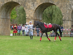 REMPARTS LONGWY 2008 154